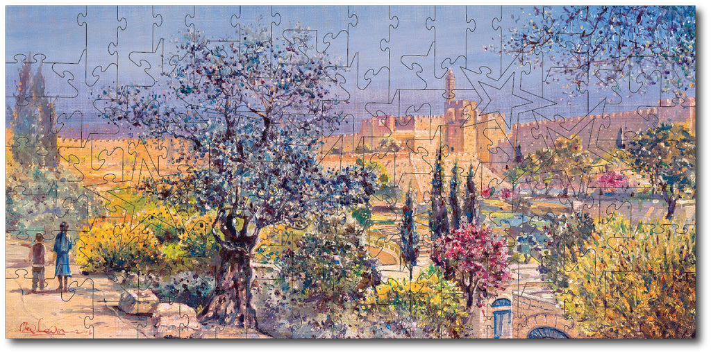 Starz Puzzles: Alex Levin "Overlooking Migdal David"
