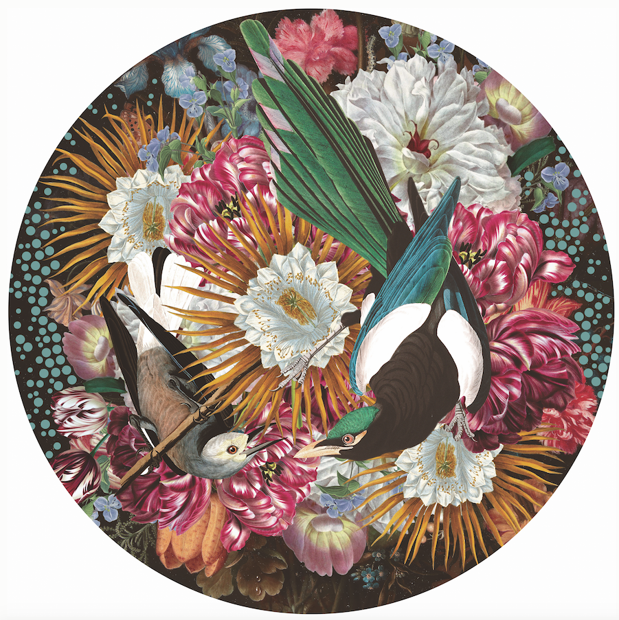 Magpie