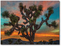 Starz Puzzles: Carl Jacobson "Joshua Tree At Sunset"