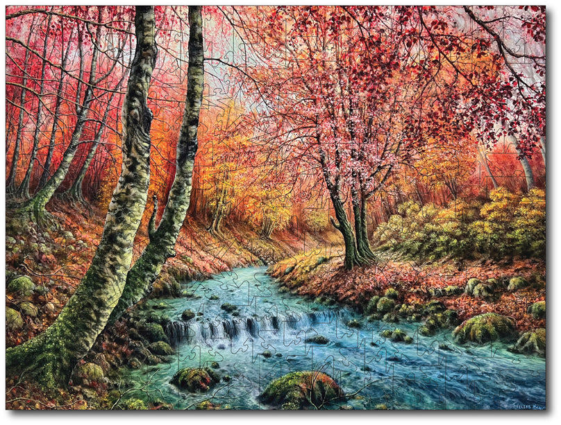 Starz Puzzles: Color By Feliks "Colorful Transition"