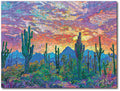 Starz Puzzles: Erin Hanson "Saguaro Sky"