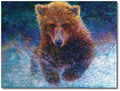Starz Puzzles: Iris Scott "Arcto"