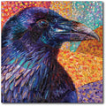 Starz Puzzles: Iris Scott "Kristin's Raven" Square
