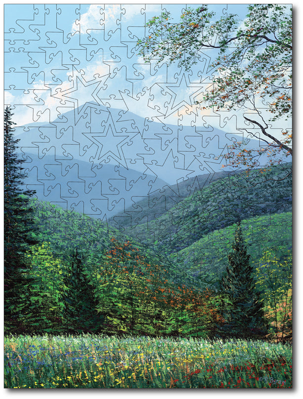 Starz Puzzles: Raymond Byram "Cold Mountain"