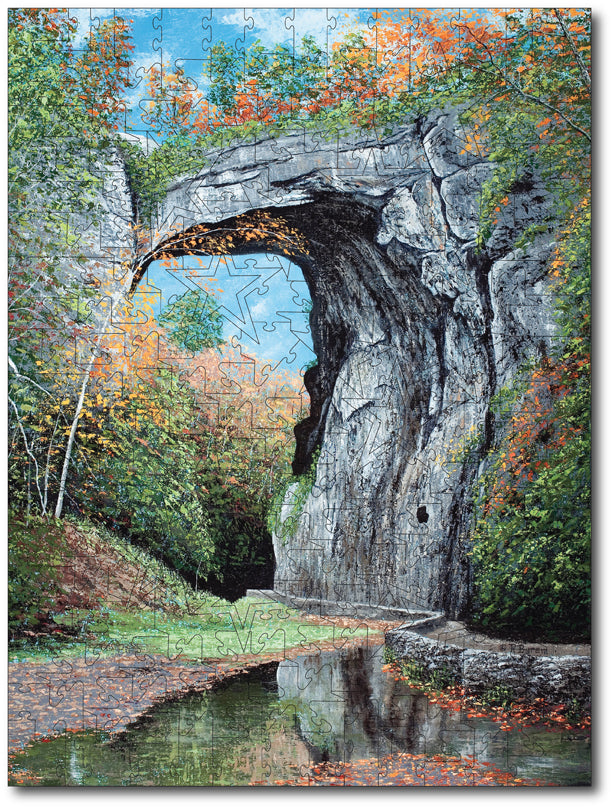 Starz Puzzles: Raymond Byram "Natural Bridge"