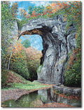 Starz Puzzles: Raymond Byram "Natural Bridge"