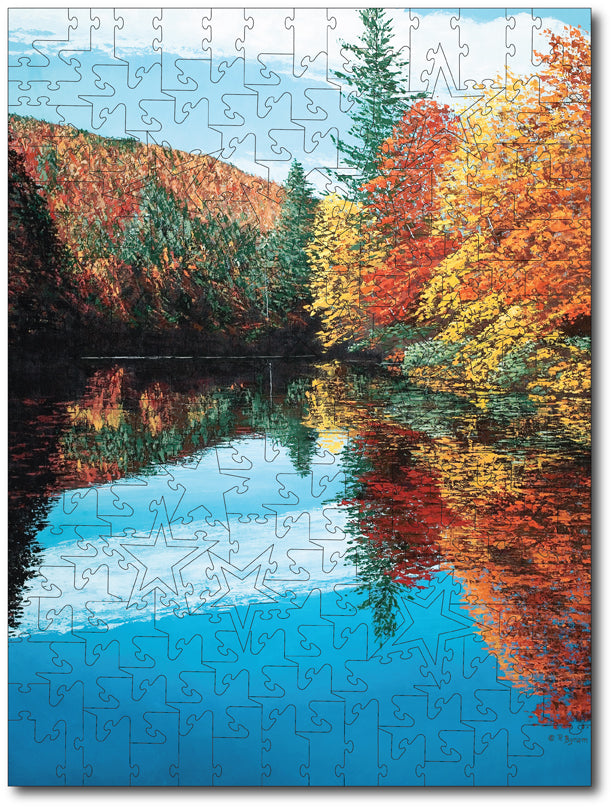 Starz Puzzles: Raymond Byram "Time To Reflect"