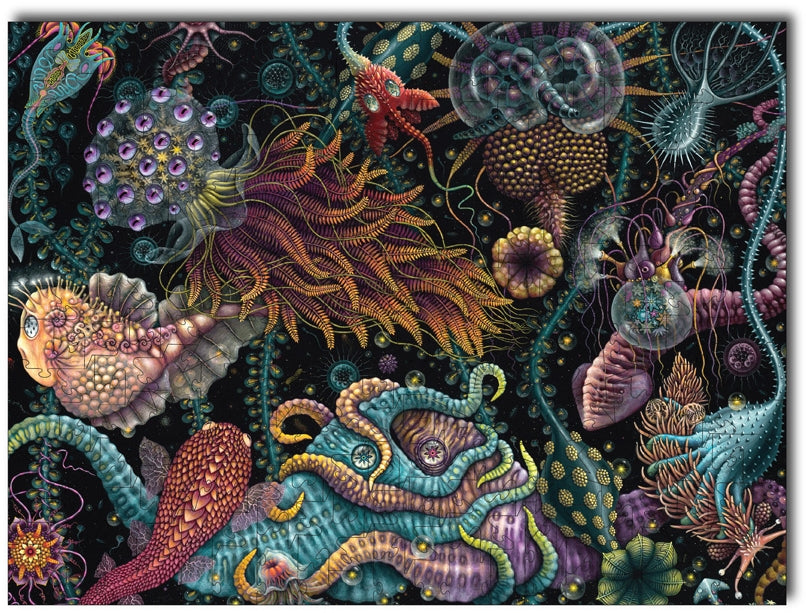 Starz Puzzles: R. S. Connett "Aquaverse"