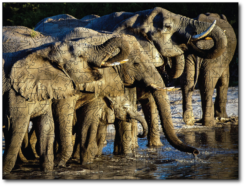Starz Puzzles: Sandy Sharkey "African Elephant Family"