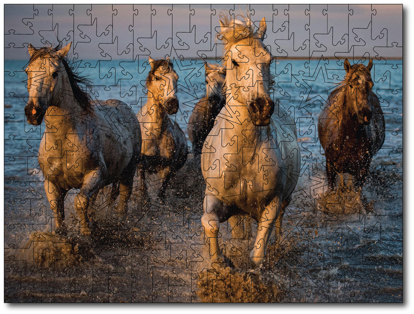 Starz Puzzles: Sandy Sharkey "Stallions In The Sea"