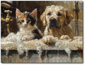 Starz Puzzles: Shawna Stewart "Bath Buddies"