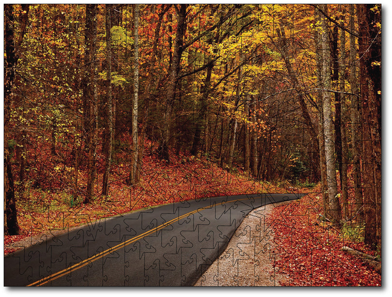 Starz Puzzles: Autumn Drive