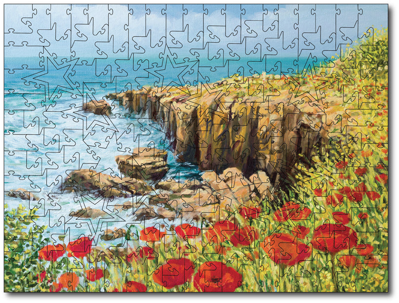 Starz Puzzles: Summer Coast