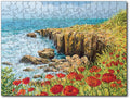 Starz Puzzles: Summer Coast