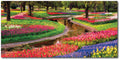 Starz Puzzles: Tulip Garden